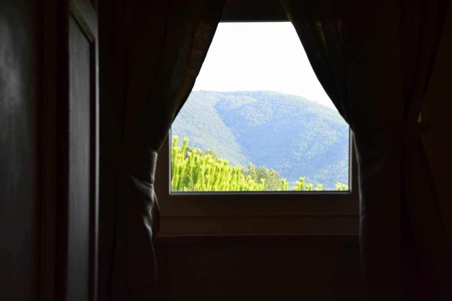 B&B La Bella Lucca Oda fotoğraf